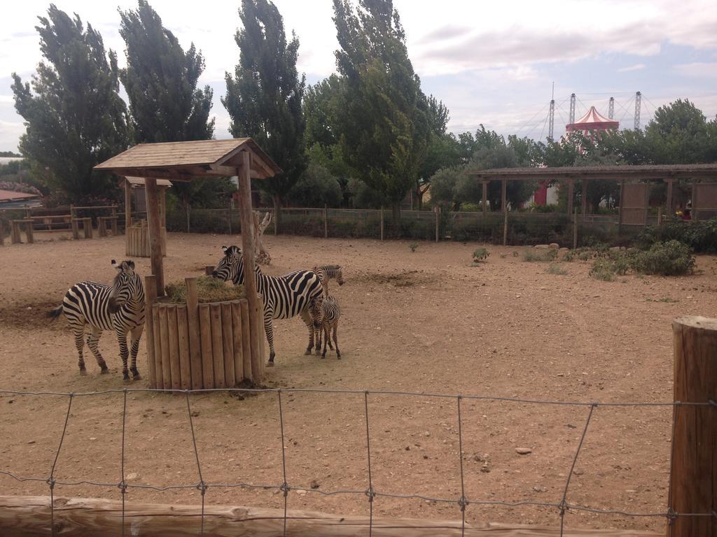 Apartamento Turistico Cigueena De Arguedas Esterno foto