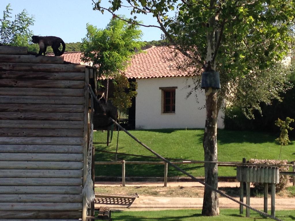 Apartamento Turistico Cigueena De Arguedas Esterno foto